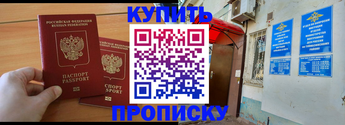 прописка штамп в Тайге