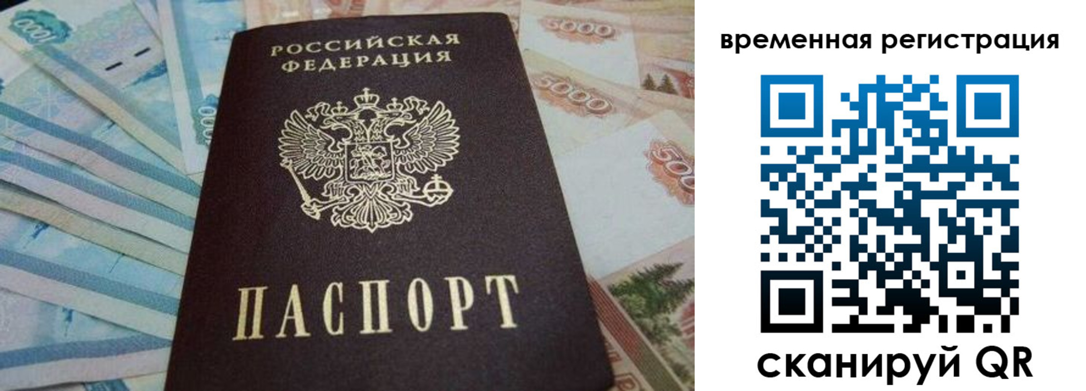 временная регистрация гарантия в Тайге